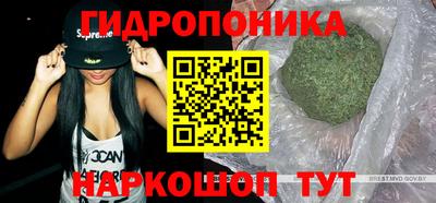 PSILOCYBIN Свободный