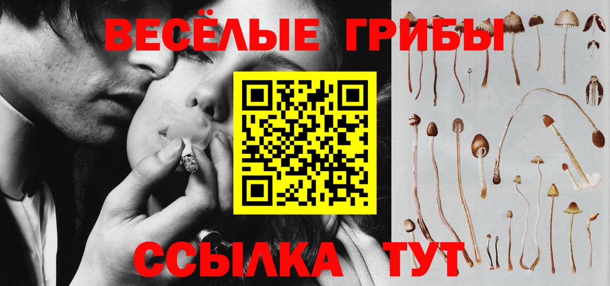 Галлюциногенные грибы GOLDEN TEACHER  Вход с VPN  Ростов Великий 
